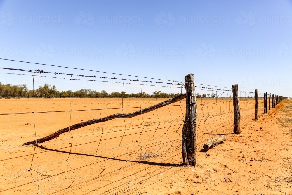 A fence and dusty paddock in drought affected Queensland. - Australian Stock Image