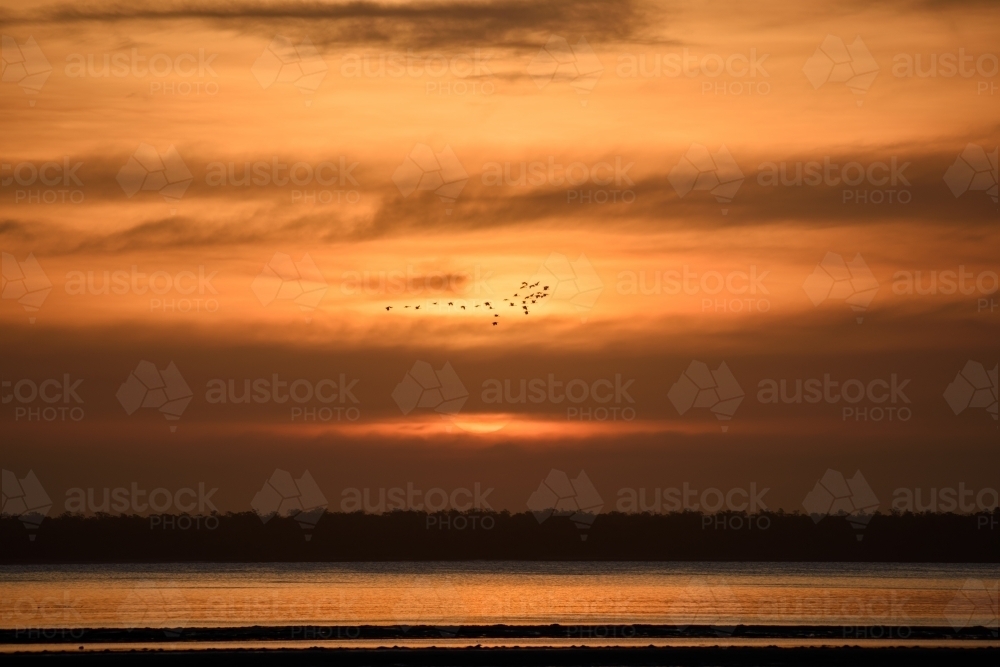 A flock of birds flying across the sunset sky over the lake. - Australian Stock Image