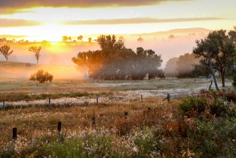 A foggy and colourful sunrise in rural Queensland. - Australian Stock Image