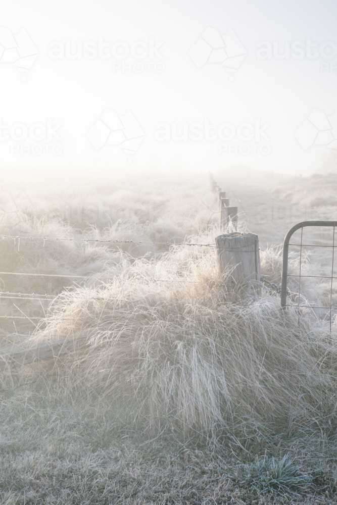 A frozen field and a winter morning - Australian Stock Image