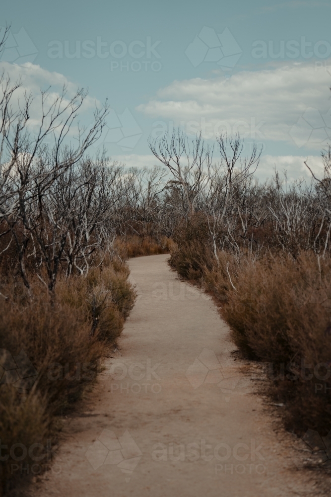 A gravel walking path weaving through bushland at Kanangra Walls Lookout, NSW - Australian Stock Image