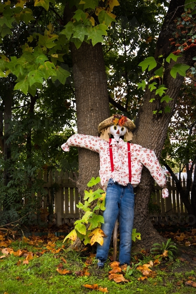 A home made dressed scarecrow in a house garden of Tenterfield - Australian Stock Image