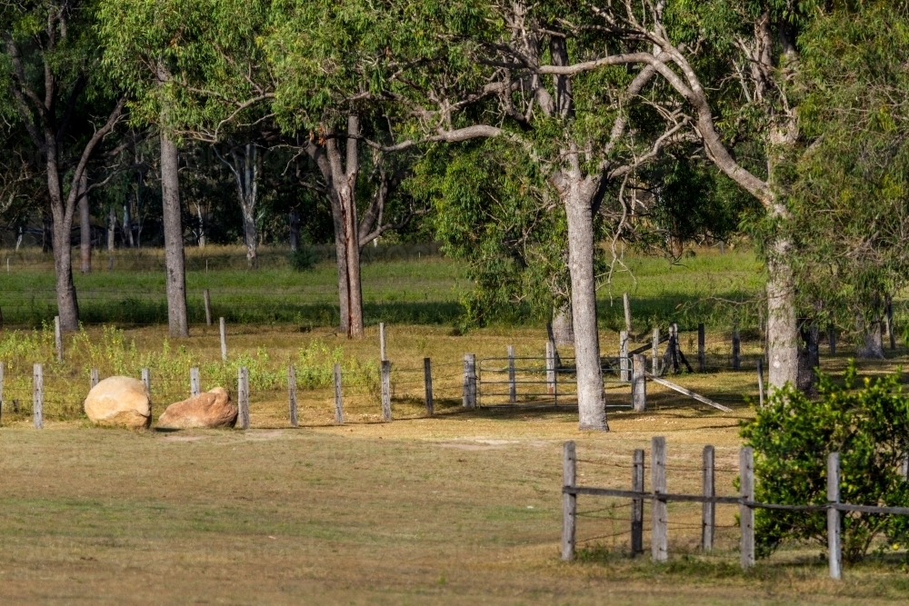 A house paddock with fences, trees, and boulders. - Australian Stock Image