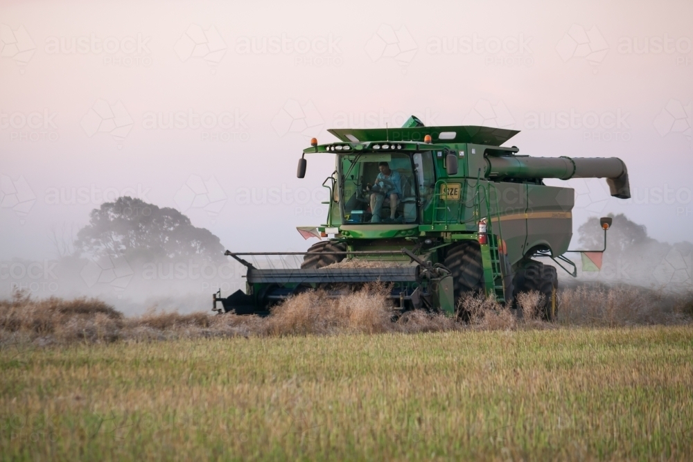 A large harvester operating in a paddock at twilight - Australian Stock Image