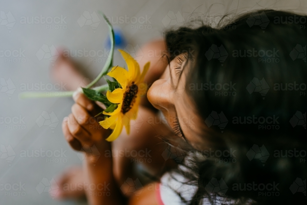 A little girl smelling a sunflower - Australian Stock Image