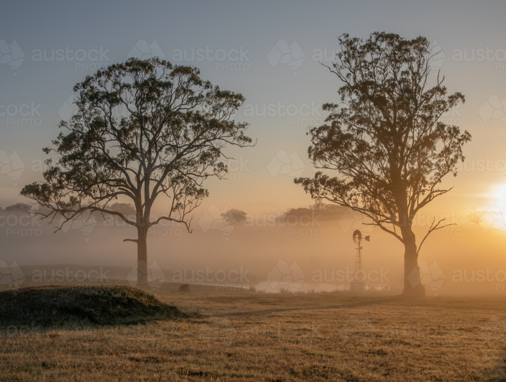 A little windmill on a misty morning - Australian Stock Image