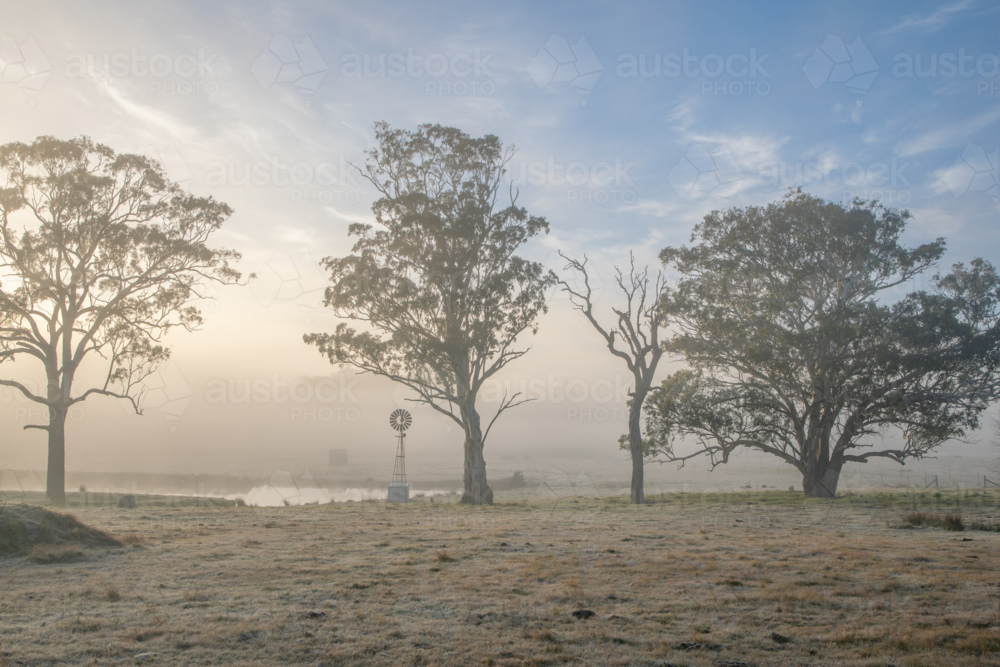 A misty morning, a cloudy sky and a country scene - Australian Stock Image