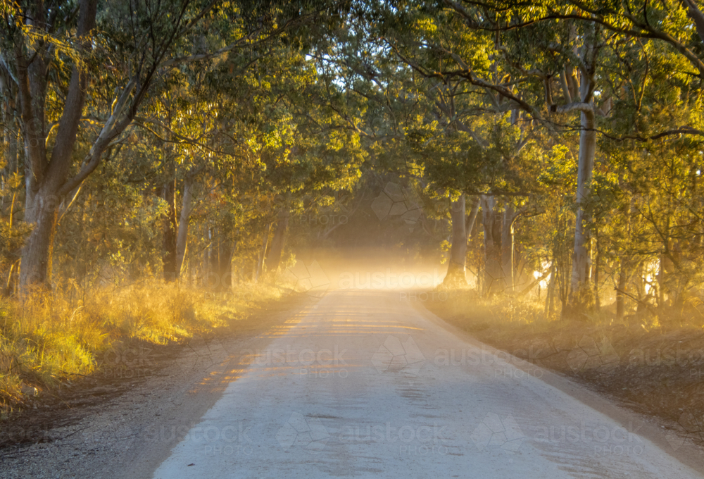 A misty morning on a country road - Australian Stock Image