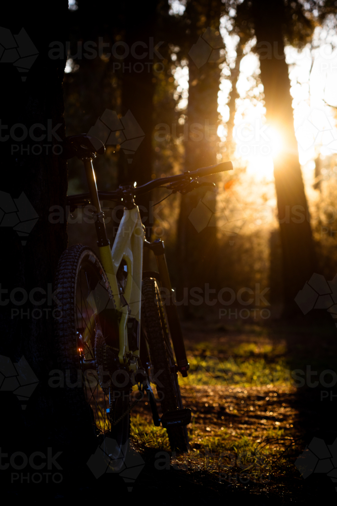 A modern dual suspension mountain bike on an Australian bike trail - Australian Stock Image