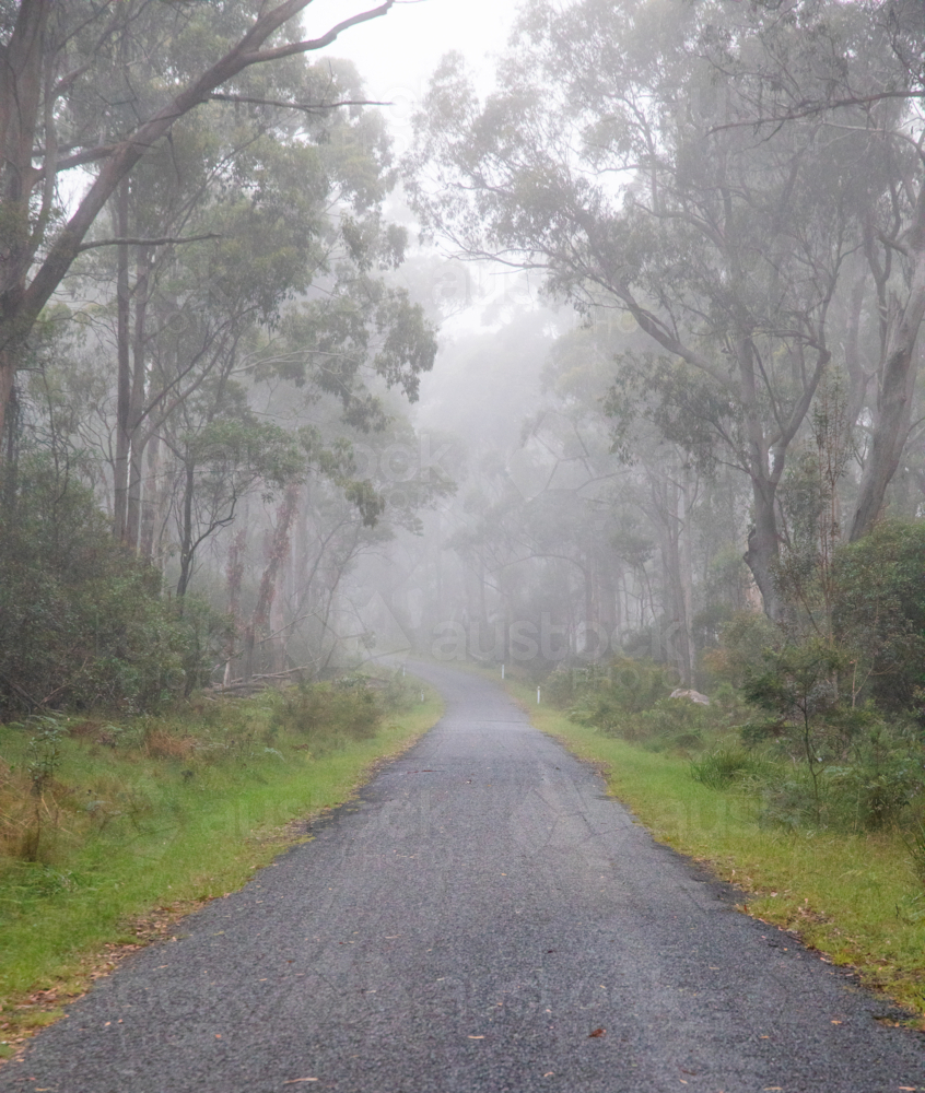 A mountain road on a misty morning - Australian Stock Image