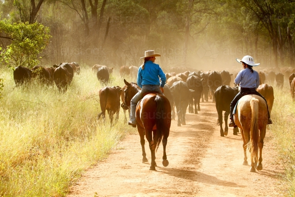 Image of A pre-teen girl and lady in her thirties mustering on a horse ...