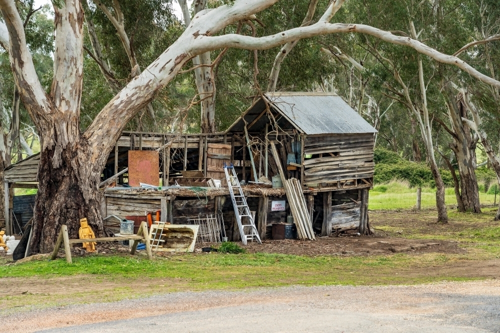 A ramshackle shed and tools under a gum tree on the side of a country road - Australian Stock Image