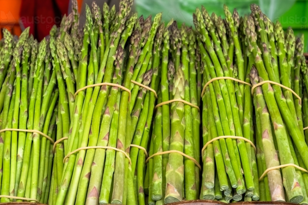 A row of asparagus from food market - Australian Stock Image