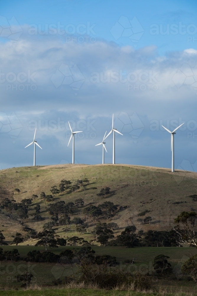 A row of wind turbines on a grassy hill in a paddock - Australian Stock Image