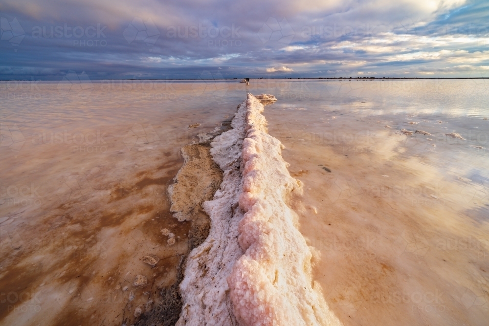 A salt encrusted fence pointing out into a pink salt lake - Australian Stock Image