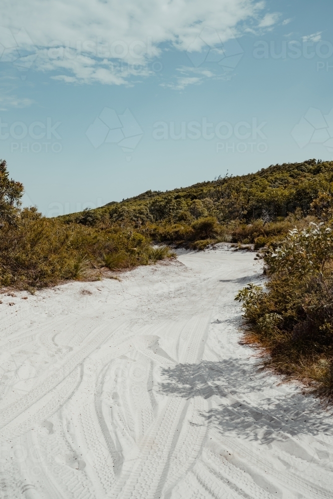 A sandy 4WD track surrounded by coastal vegetation near Honeyeater Lake - Australian Stock Image