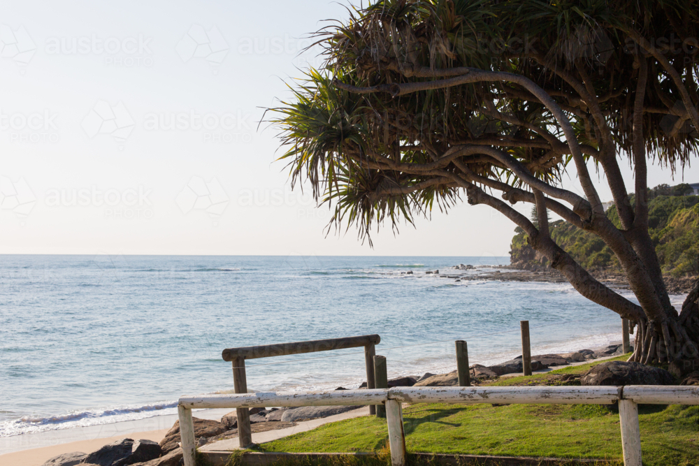 A sandy beach and grass area framed by tree foliage leads to an empty beach with a rocky point break - Australian Stock Image