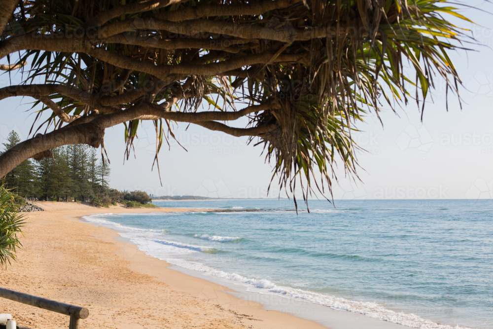 A sandy beach framed by tree foliage leads to an empty beach with gentle waves - Australian Stock Image