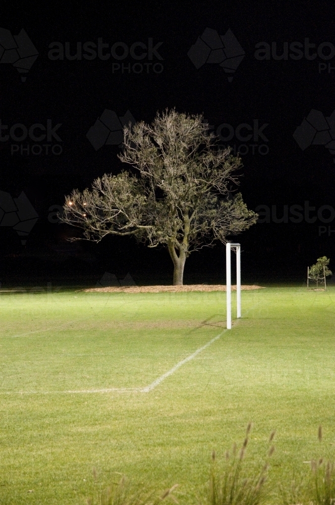 A suburban soccer ground at night - Australian Stock Image