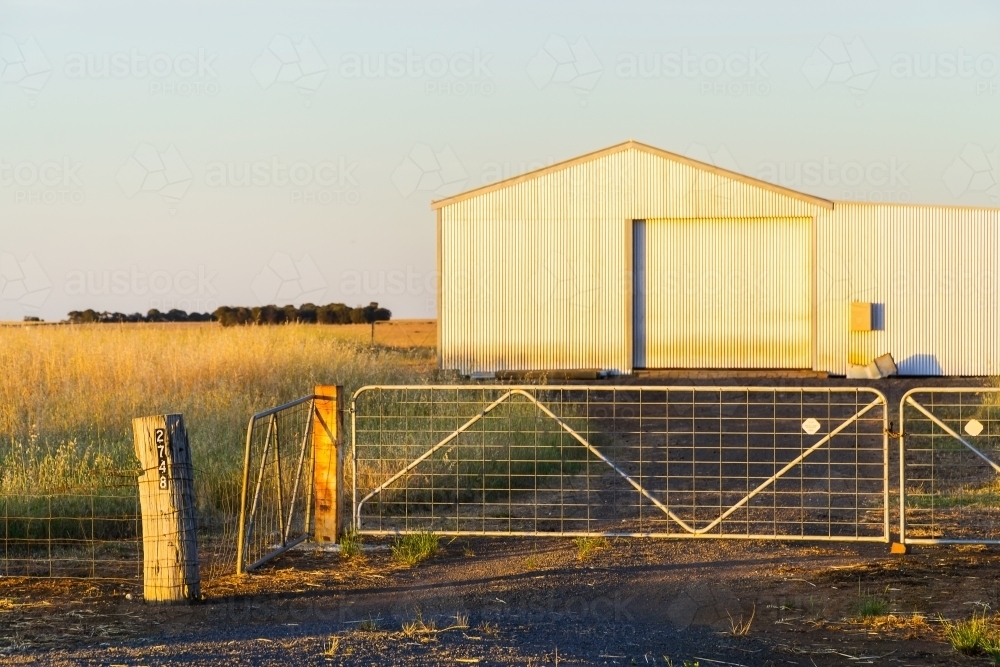 A tin shed behind a steel gate in a farmers paddock - Australian Stock Image