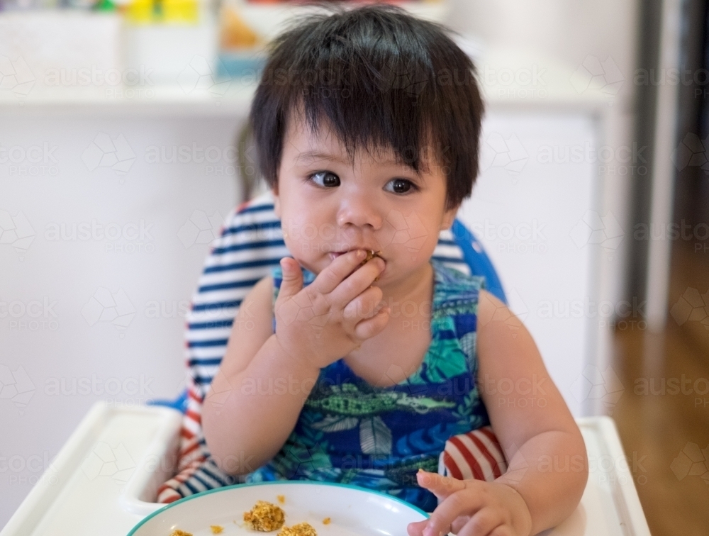 A toddler eating while seated on a high chair - Australian Stock Image