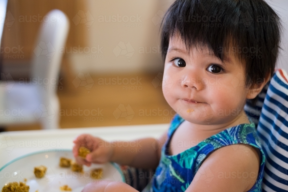 a toddler eating while seated on a high chair - Australian Stock Image