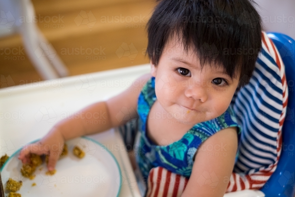 A toddler eating while seated on a high chair - Australian Stock Image