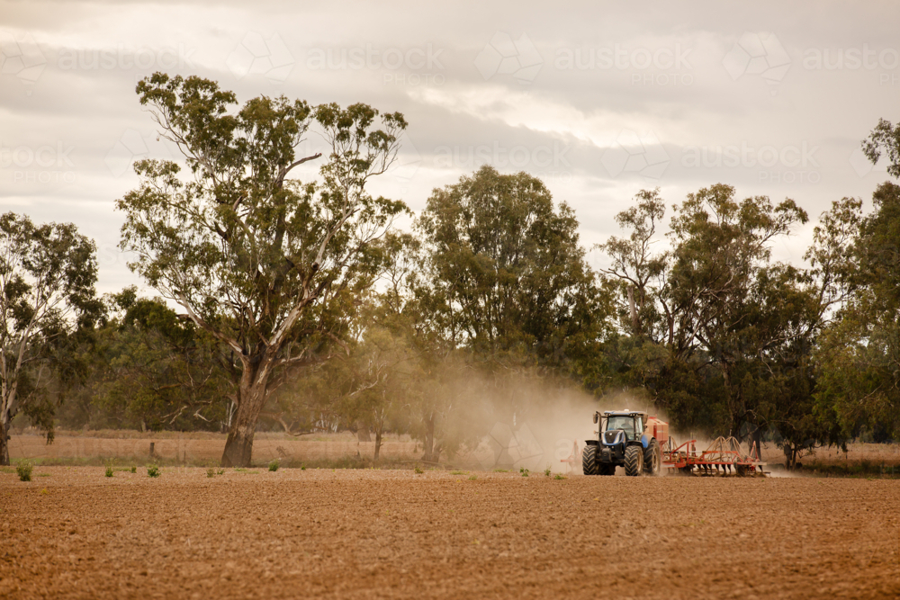 A tractor and seeder dry sowing wheat in Central West NSW - Australian Stock Image
