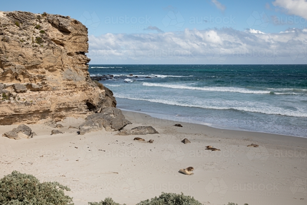 A white sandy beach with shrubs, rocks and boulders - Australian Stock Image