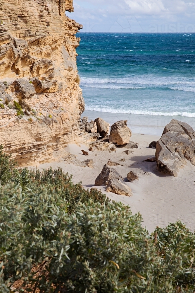 A white sandy beach with shrubs, scattered rocks and boulders - Australian Stock Image