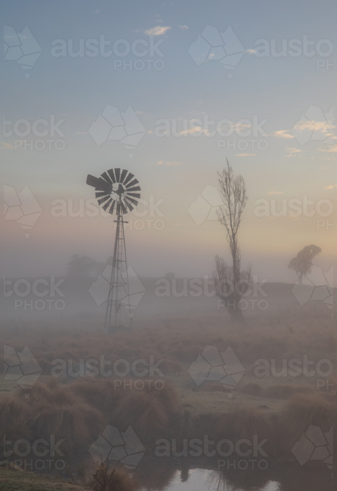 A windmill and a tree silhouette on a misty morning - Australian Stock Image