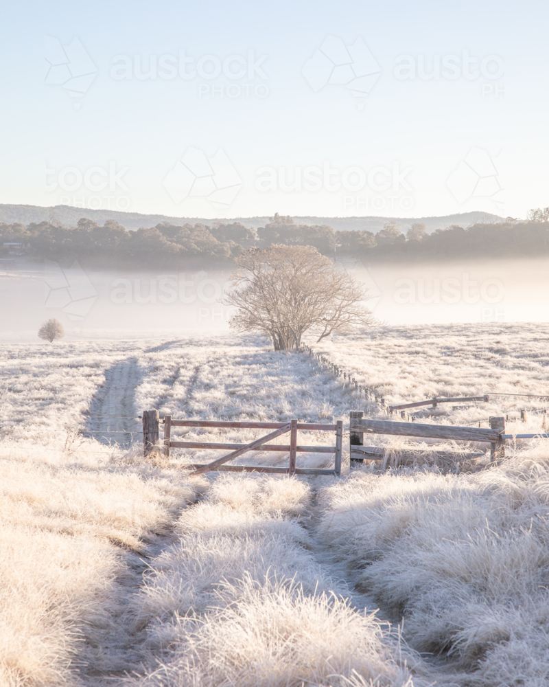 A winter scene in the country - Australian Stock Image