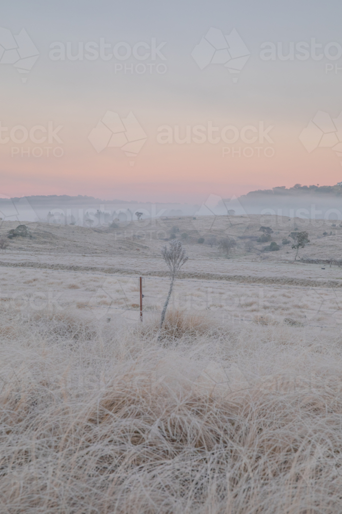 A winter scene with soft dawn skies and frozen icy fields - Australian Stock Image