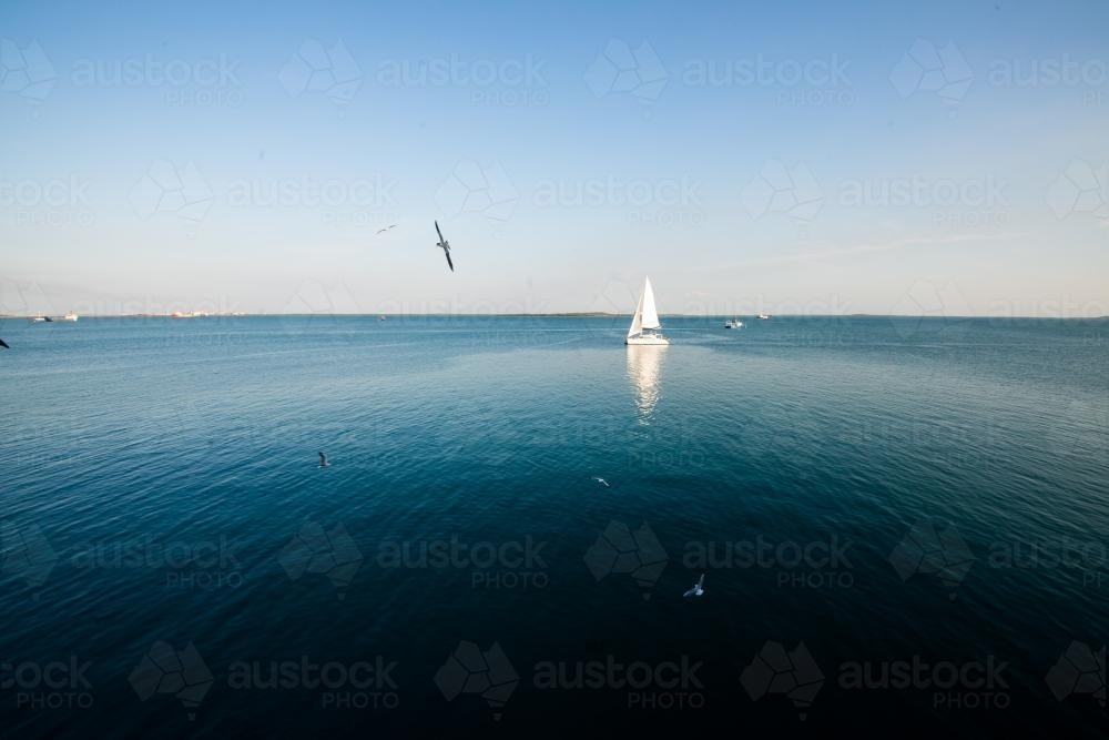 A yacht sailing on calm blue sea with birds flying - Australian Stock Image