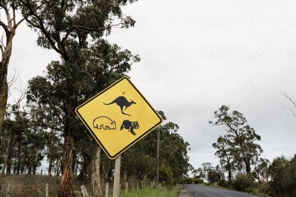 A yellow sign on the side of an Australian road warning traffic of native animals - Australian Stock Image