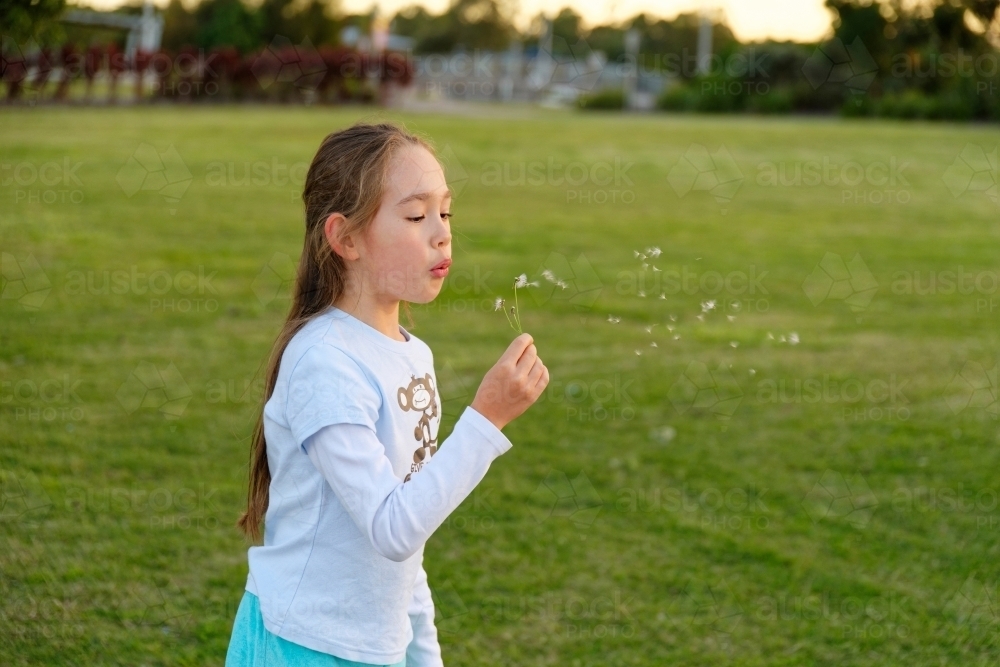 A young girl blowing a dandelion flower making a wish, copy space - Australian Stock Image