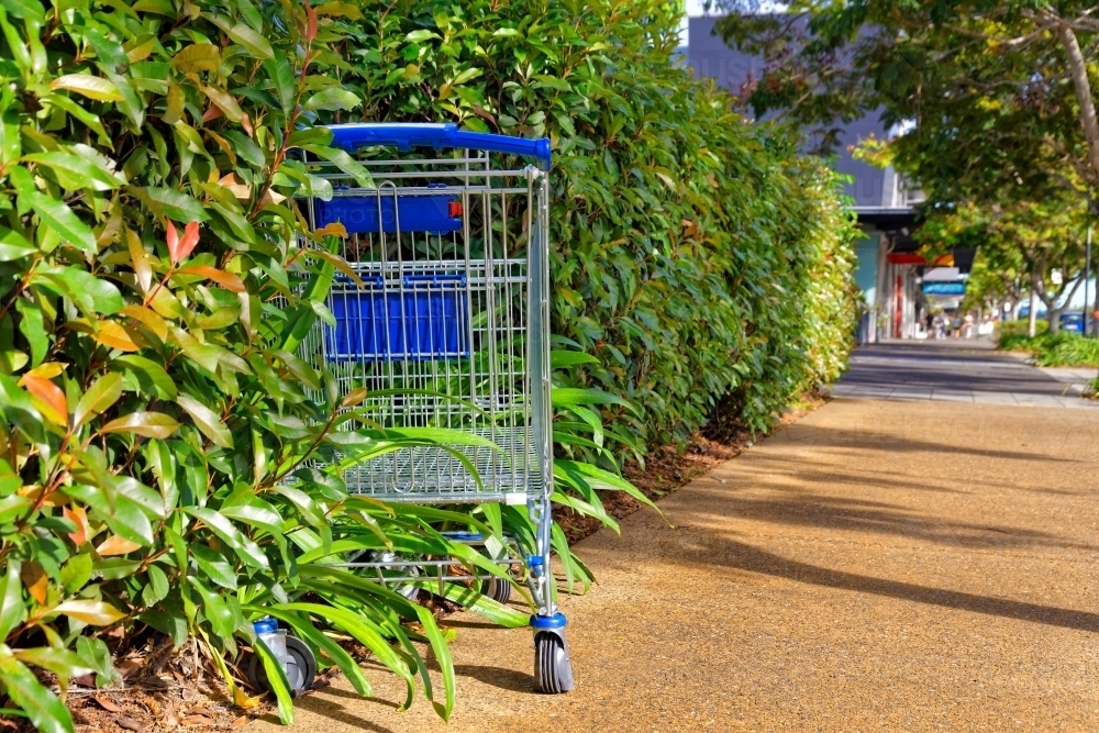 Abandoned shopping trolley on footpath and pushed into the hedge - Australian Stock Image