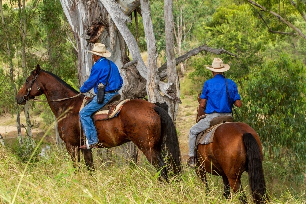 Aboriginal and caucasian cattlemen on horses overlooking a river. - Australian Stock Image