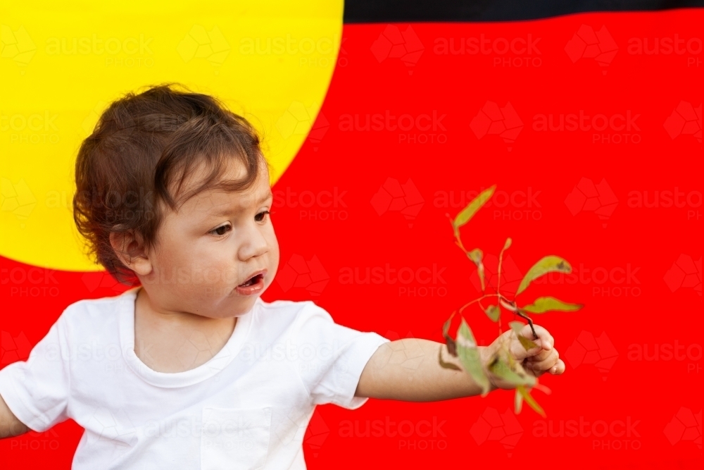 Aboriginal australian child looking at twig of gum leaves against flag - Australian Stock Image