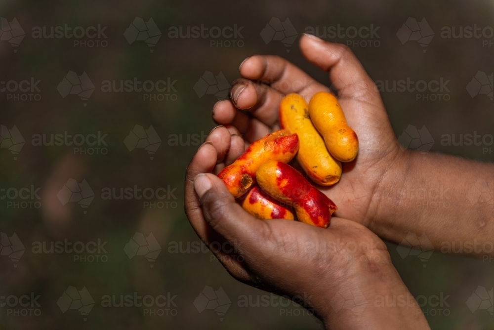 Aboriginal child holding Fingersop - Australian Stock Image