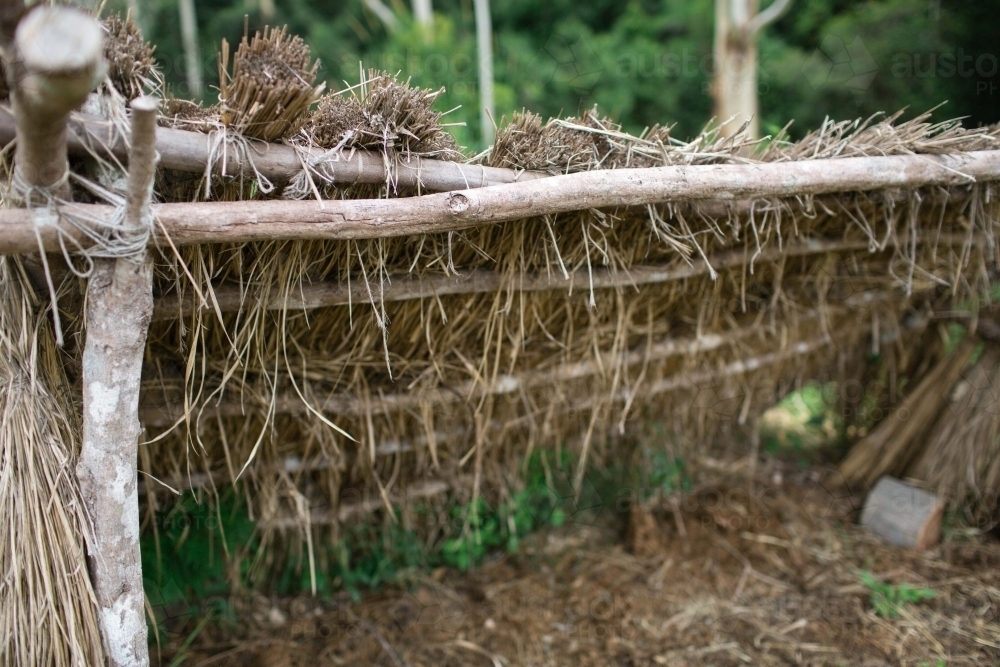 Aboriginal humpy shelter in bushland - Australian Stock Image