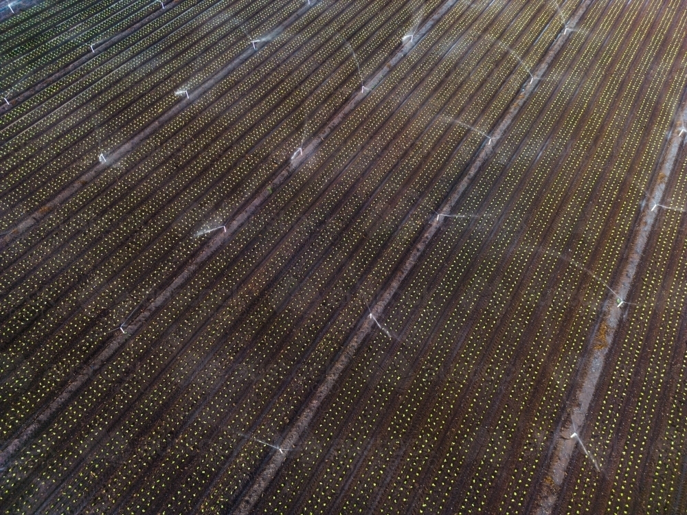 Aerial image of the rich brown earth in the agricultural area of Gatton, Queensland - Australian Stock Image