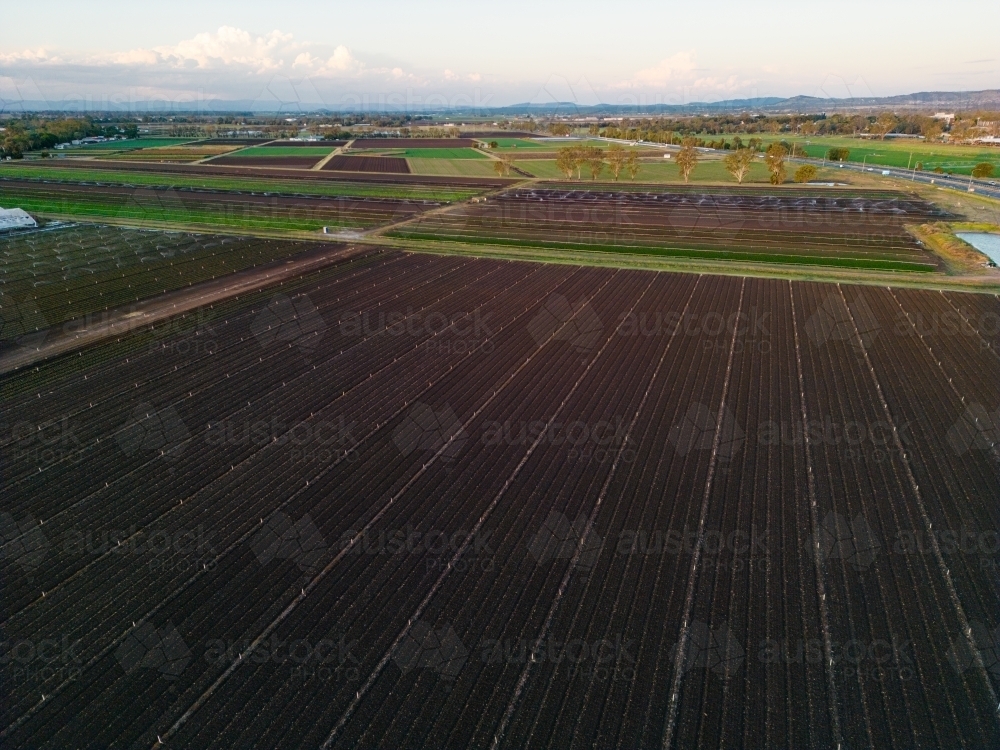 Aerial image of the rich brown earth in the agricultural area of Gatton, Queensland - Australian Stock Image