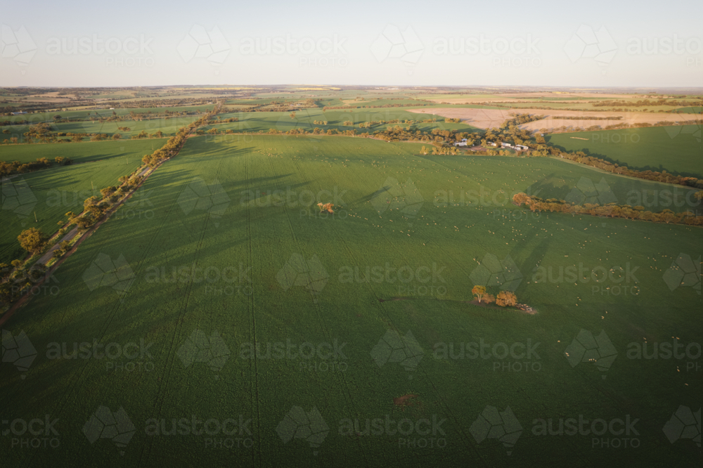 Aerial landscape sunset over a wheat and sheep farm in the Avon Valley of Western Australia - Australian Stock Image