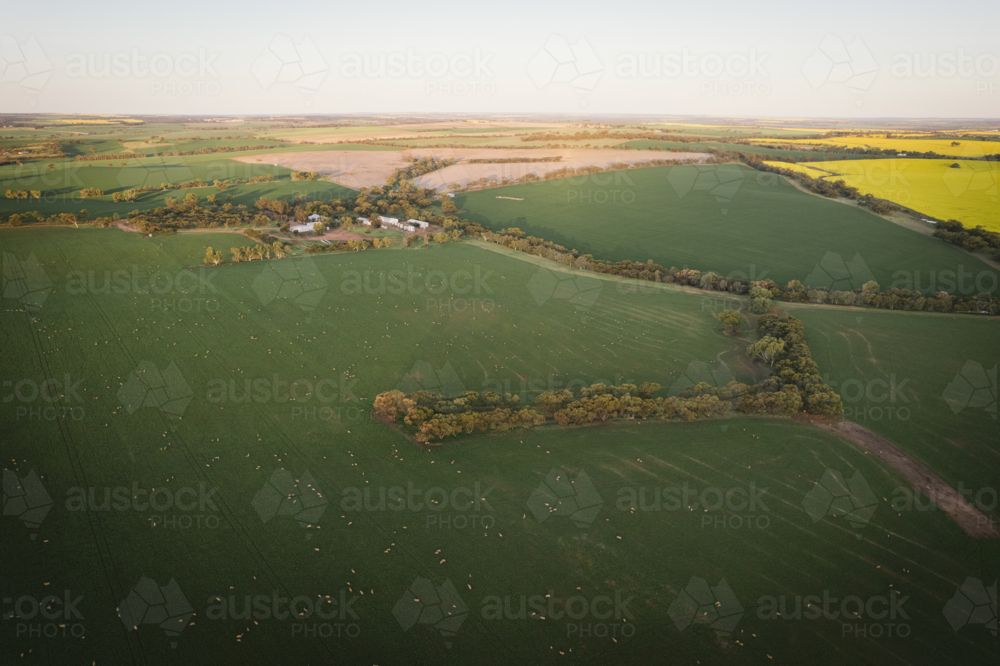 Aerial landscape sunset over a wheat and sheep farm in the Avon Valley of Western Australia - Australian Stock Image