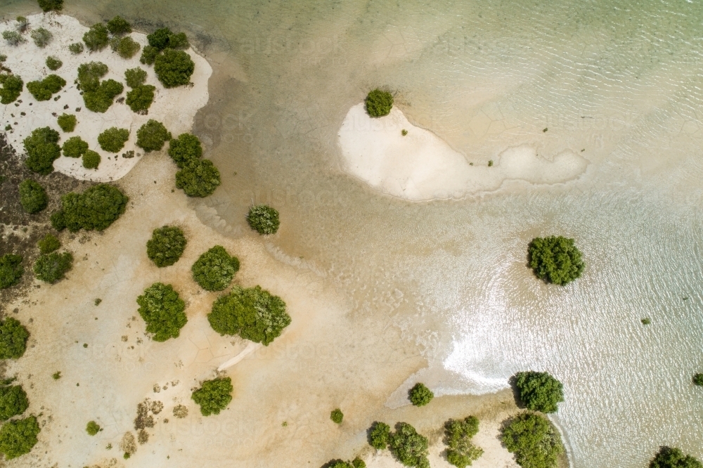 Aerial looking down on mangroves and sandbars in an estuary. - Australian Stock Image