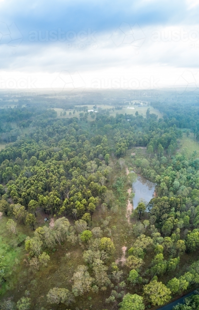 Aerial panorama of dam in paddock full of trees on overcast morning with distant farmhouse - Australian Stock Image