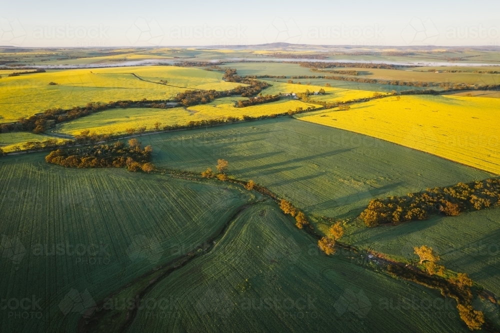 Aerial photo of broadacre cropping landscape in the Avon Valley of Western Australia - Australian Stock Image