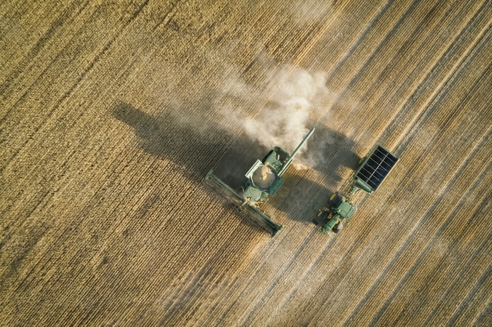 Aerial photo of harvester harvesting cereal crop in the Wheatbelt of Western Australia - Australian Stock Image