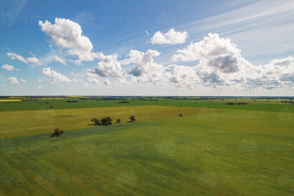 aerial shot of a big green field on a sunny day with blue sky - Australian Stock Image